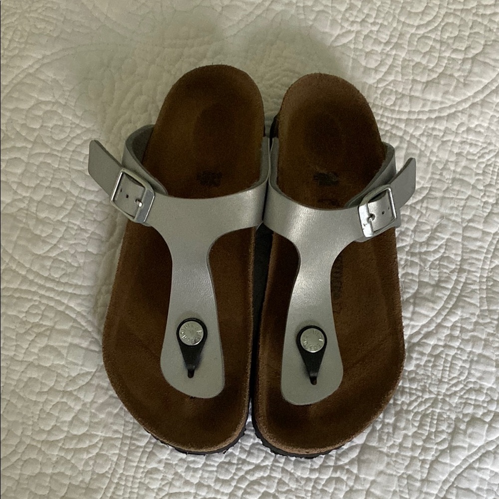 Silver and Brown Sandals with Buckle